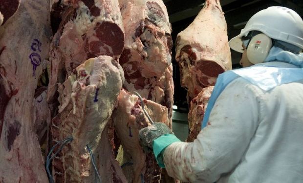 Acuerdo para el ingreso al país de carne con hueso desde Uruguay.