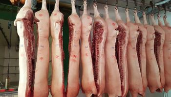 El Gobierno no limitará la importación de carne de cerdo