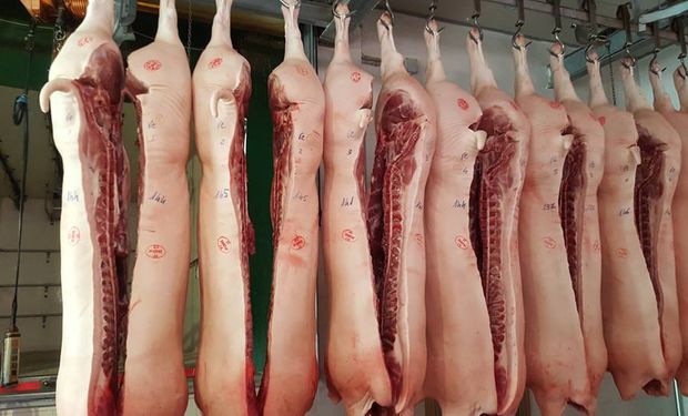 Gobierno no le pondrá trabas al ingreso de carne de cerdo.