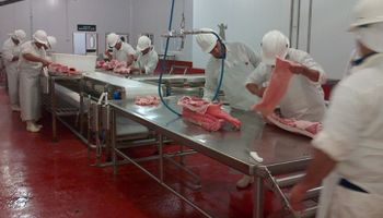 Productores de cerdo contra la importación de carne de Canadá
