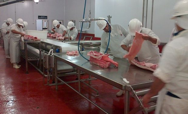 A partir de agosto de 2017 ingresará el producto.