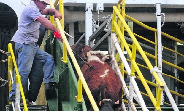 Cada vez más cerca de comer carne uruguaya.