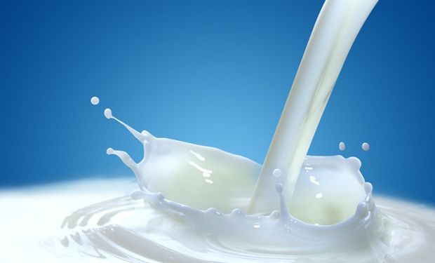 Durante 2016, se cerraron 460 tambos en toda la Argentina y la producción láctea registró caídas de entre 10 y 11%.