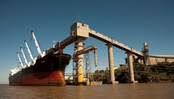 El Gobierno flexibilizó las pautas para la importación de soja