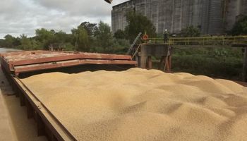 Importación de soja, ¿con más beneficios que inconvenientes?