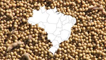 Brasil bate récords hasta de importación de soja y anticipan una mayor superficie para la campaña 2020/21