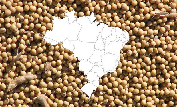 Soja en grano - Importaciones RJ Africa