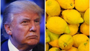 Trump suspendió el ingreso de los limones argentinos a Estados Unidos