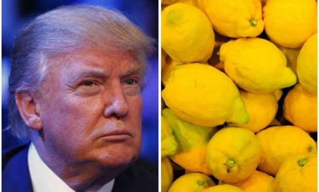 La importación de limones será revisada una vez más.