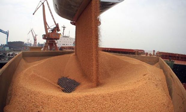 Perdieron fuerza las importaciones de soja por parte de China
