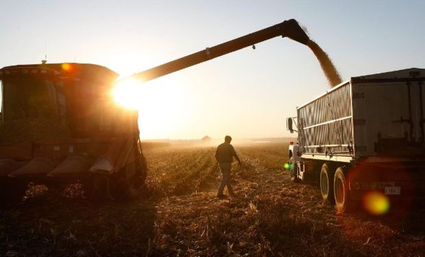 Brasil está preparado para abrir las puertas a las importaciones.