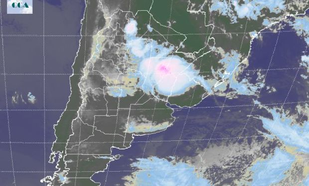 Lento cambio en las condiciones ambientales.