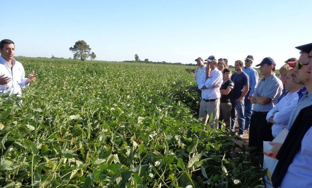 "Escudo fiscal” en el campo: la estrategia para pagar menos impuesto a las ganancias