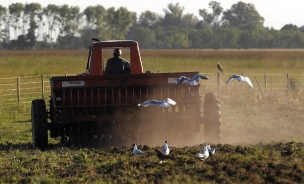 La Planificación fiscal en el Sector agropecuario.