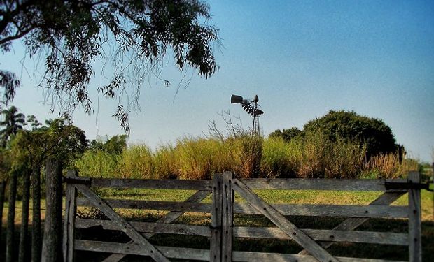 Buenas noticias para empresas agro unipersonales: pagarán Ganancias en julio