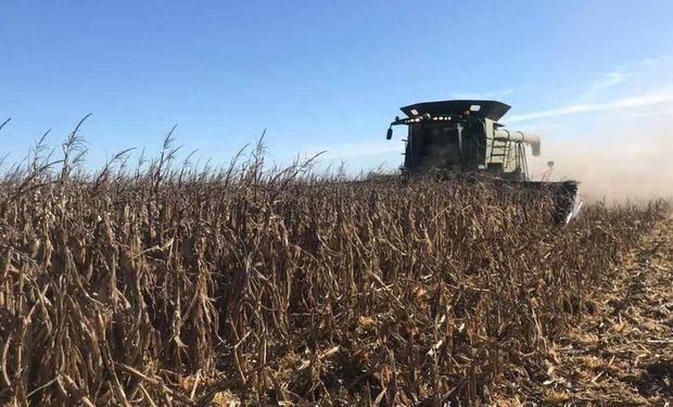 ¿Más impuestos para el campo? Productores rechazan la "voracidad fiscal" del Estado