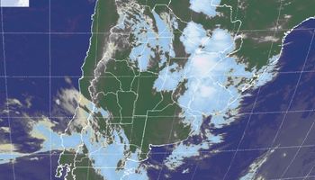 Condiciones ambientales no son las mejores para avanzar con la cosecha