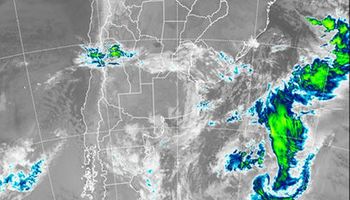 Sin lluvias en gran parte de las áreas productivas del país