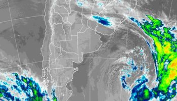 Tiempo óptimo para la cosecha: se espera una semana estable en la región pampeana