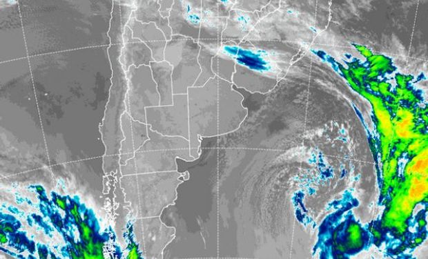 Tiempo óptimo para la cosecha: se espera una semana estable en la región pampeana