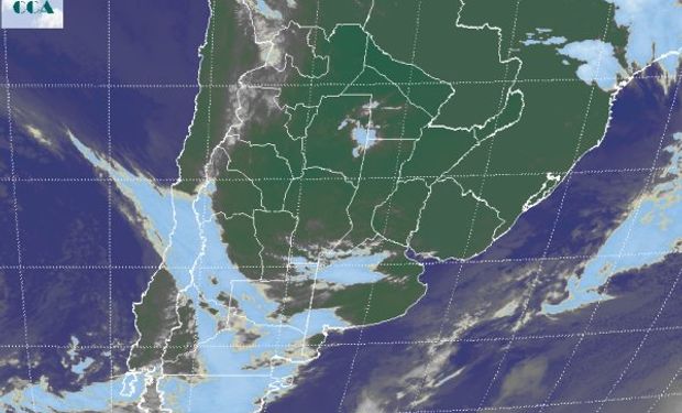 La foto satelital no muestra coberturas significativas.