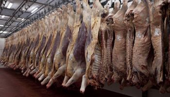 Aumentaron las exportaciones de carne a China, pero un dato pone en alerta el corto plazo