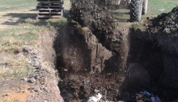 Alfalfa transgénica: el INASE enterró más de 15 mil kilogramos de eventos no autorizados