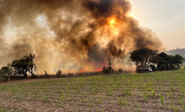 Decreto aumenta multas para queimadas em imóveis rurais e amplia embargo ambiental