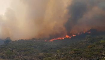 Los incendios afectan a más de medio país 