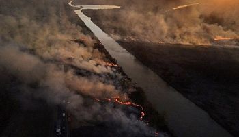 Cabandié contra el sector agropecuario por los incendios en el Delta Paraná: “Avaricia de los productores ganaderos”