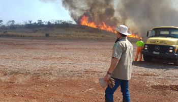 Incêndios: SP ainda contabiliza estragos e canaviais já somam R$ 800 milhões de prejuízos