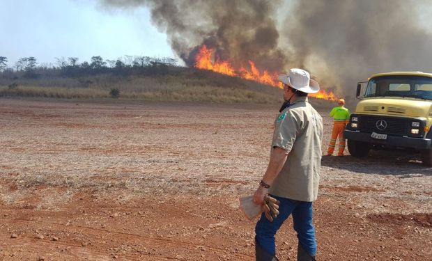 Incêndios: SP ainda contabiliza estragos e canaviais já somam R$ 800 milhões de prejuízos