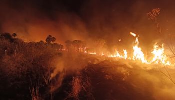 Pecuarista de MG vê novamente fogo invadir fazenda, gado ser carbonizado e tem prejuízo de meio milhão de reais