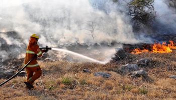 Córdoba: solicitan la declaración de desastre agropecuario en las zonas de incendios