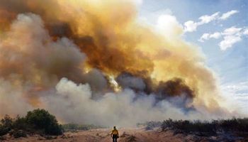 Se reactivaron los focos de incendios forestales en Mendoza y La Pampa
