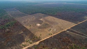 Cómo los incendios en la Amazonia pueden afectar al trigo de la Argentina