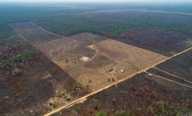 ¿Cuándo y cómo inciden los incendios del Amazonia en el régimen de lluvias de Argentina?