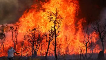 Incêndios provocam multa milionária, engavetamento e Exército entra no combate; Dino autoriza gastos fora da meta fiscal