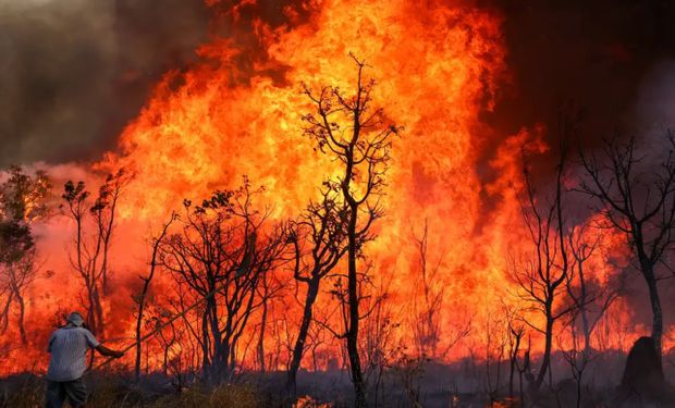 Incêndios provocam multa milionária, engavetamento e Exército entra no combate; Dino autoriza gastos fora da meta fiscal