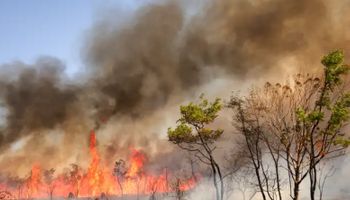 Incêndios: brigadista é encontrado morto, casamento provoca fogo em mata e cafeicultor tem prejuízo de meio milhão 