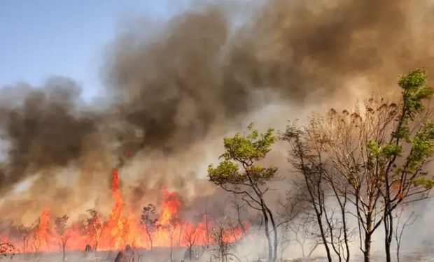 Incêndios: brigadista é encontrado morto, casamento provoca fogo em mata e cafeicultor tem prejuízo de meio milhão 