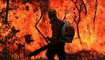 Incêndios: Mato Grosso tem novas prisões, Brasília está sob fumaça e produtores do MS receberão ajuda