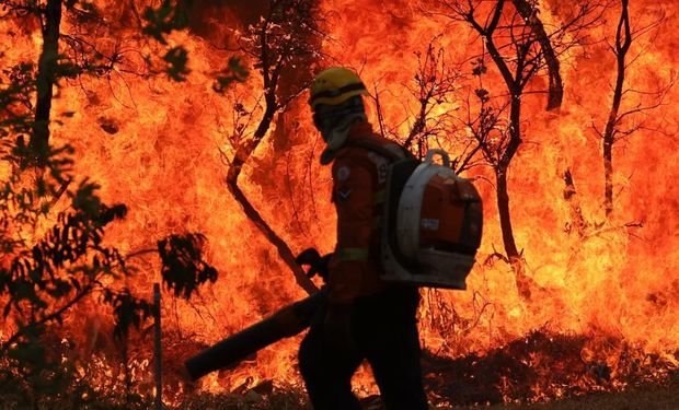 Onda de queimadas na capital do país atingiu pelo menos 2 mil hectares do Parque Nacional de Brasília (Foto - Fabio Rodrigues Pozzebon/Ag Brasil)