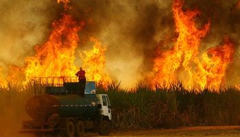 Ataque incendiário durou 90 minutos e multiplicou por 75 número de focos em SP