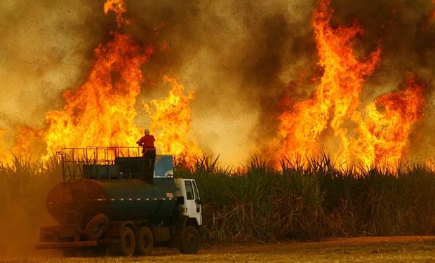 Ataque incendiário durou 90 minutos e multiplicou por 75 número de focos em SP