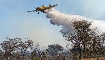 Incêndios: SP prorroga alerta de risco elevado até sábado; MT já prendeu 16 pessoas