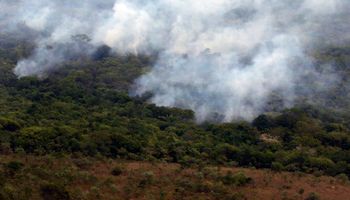 Área queimada cai no Brasil, mas sobe na Amazônia, até junho