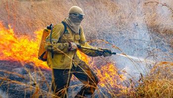 Raios causam incêndios na Chapada dos Veadeiros e em fazenda de algodão no MT