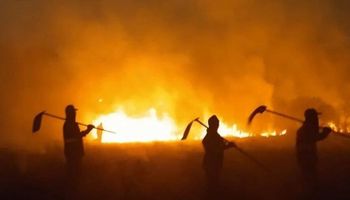 Quem são os culpados pelos incêndios no Brasil?