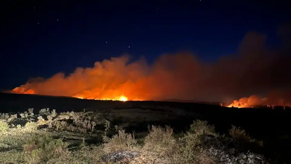fuego